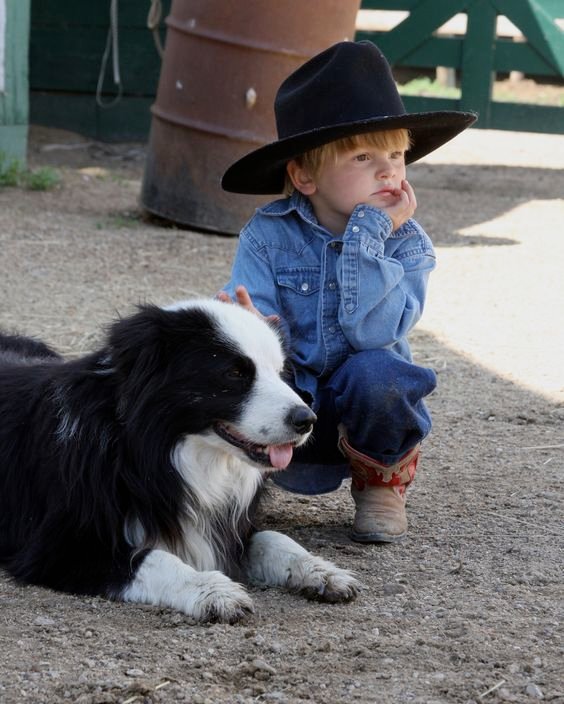 A Border Collie lying on the ground while being pet by a kid sitting next to him