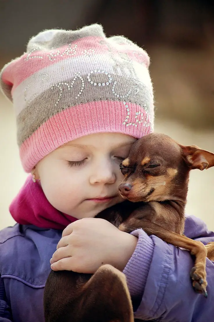 kid hugging a Chihuahua