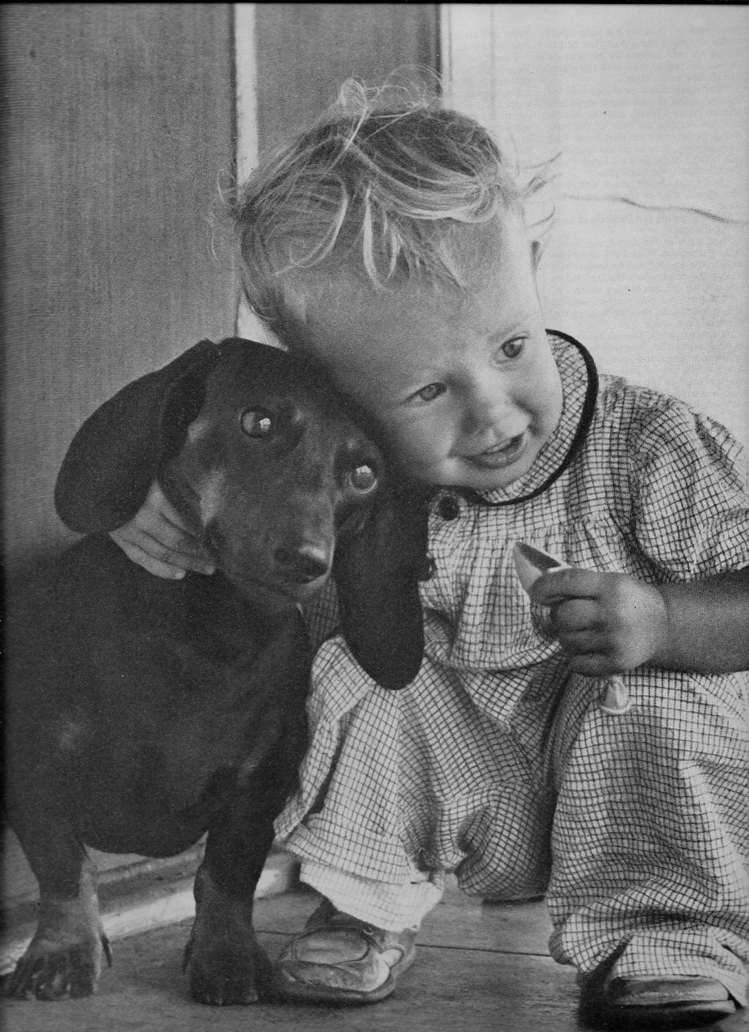 kid hugging a Dachshund dog