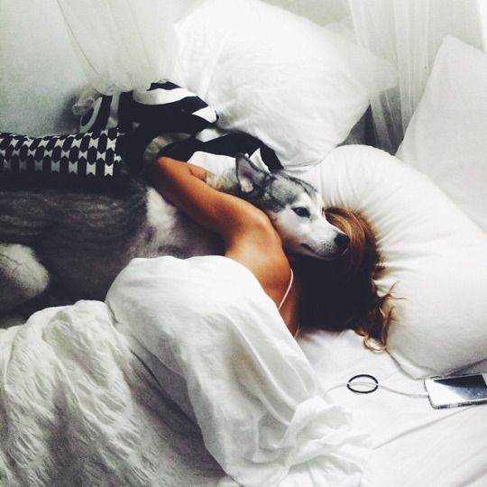A woman in bed hugging a Husky lying beside her