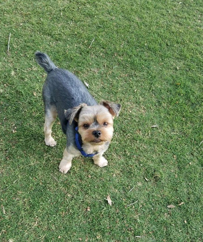 Schnerrier looking up