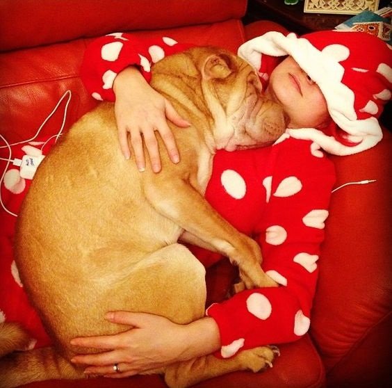 A Shar-Pei sleeping on top of the woman lying on the couch