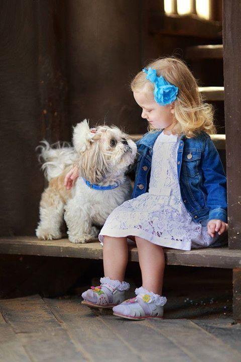 cute shihtzu and a kid