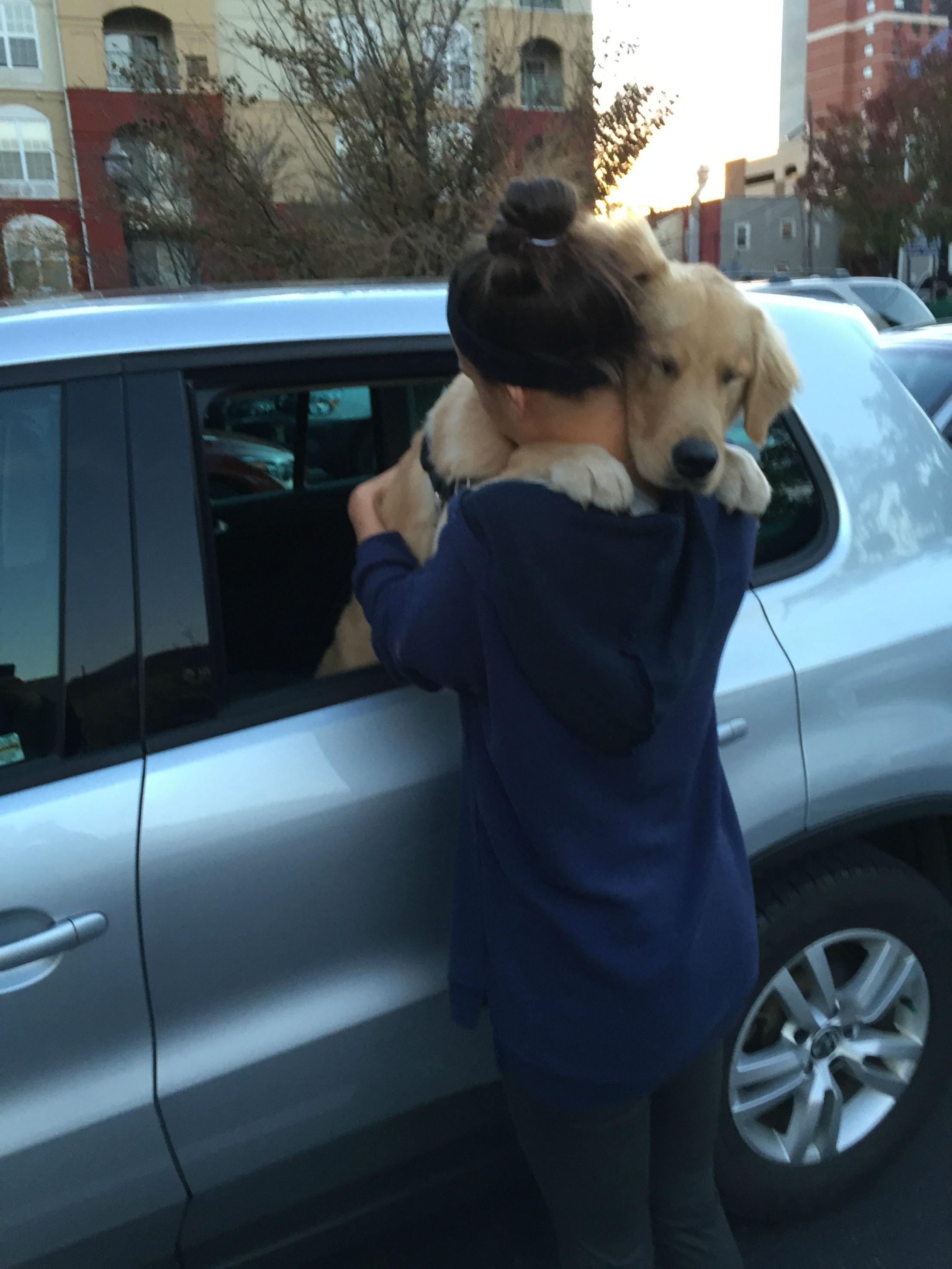 a girl hugging a Golden Retriever from the car