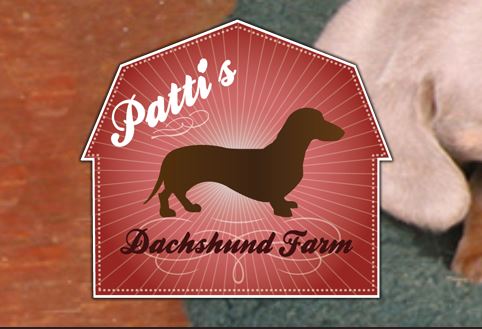 Patti's Dachshund Farm