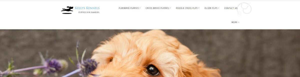 screenshot of kelly's kennel website header