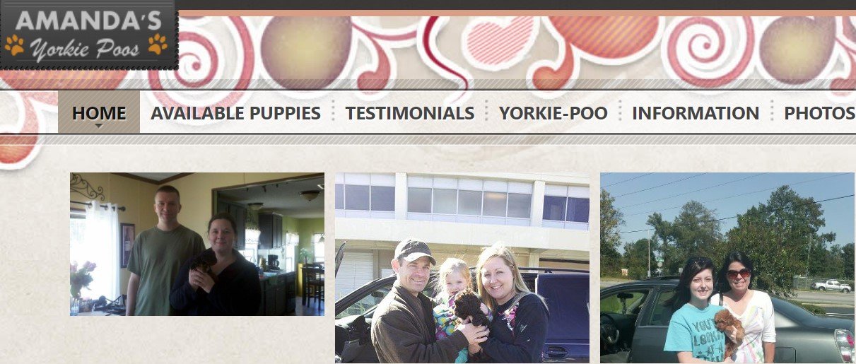 screenshot of Amanda’s Poos website