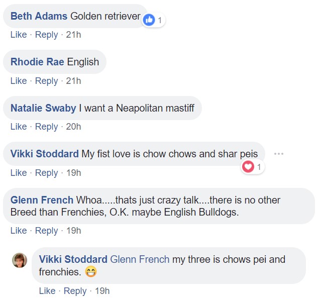 Screenshot of comments saying golden retriever, english bulldog, neapolitan mastiff, chowchow, and sharpei