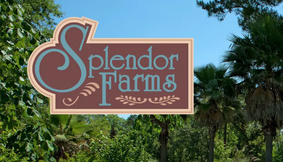 Logo - Splendor Farms with trees background