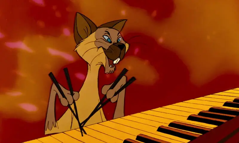 Shun Gon from the Aristocats playing piano with chopsticks