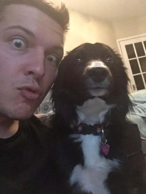 Border Collie and its owner in shock face selfie