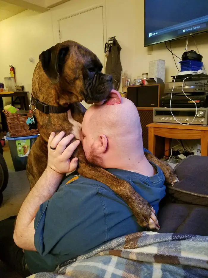 a man kissing the Boxer dog sitting on his lap