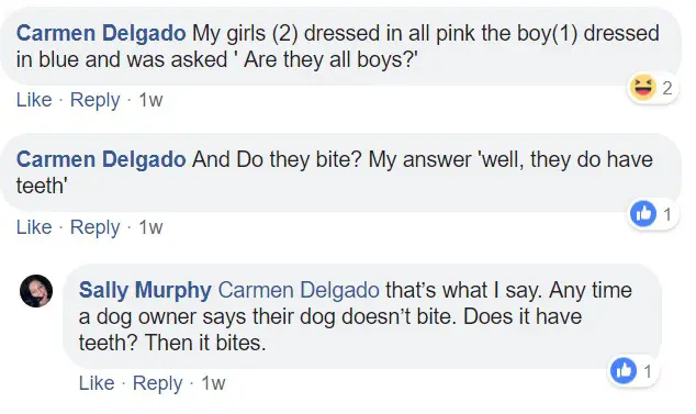 commenters saying - My girls dressed in all pink the boy dressed in blue and was asked, are they all boys? and do they bite?