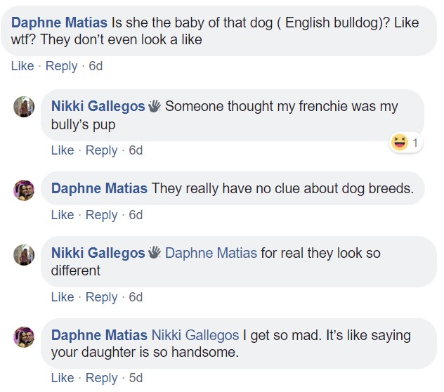 comment section with people commenting - Someone thought my frenchie was my bully's pup. They really have no clue about dog breeds.