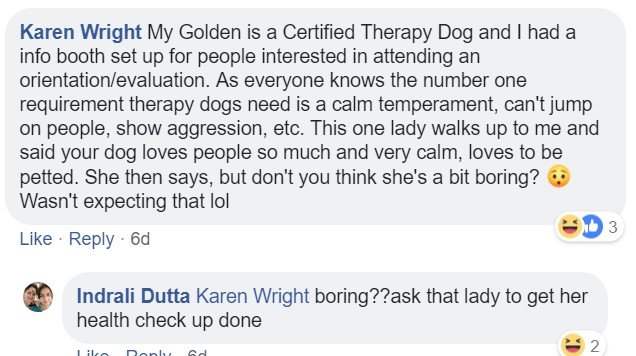 A commenter saying - Don't you think she's a bit boring?