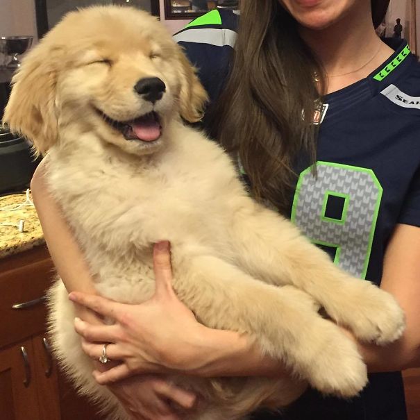 A woman carrying a happy Golden Retriever puppy