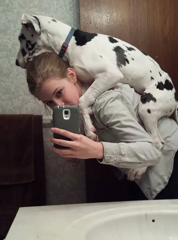 a woman piggy back riding a Great Dane puppy while taking a selfie