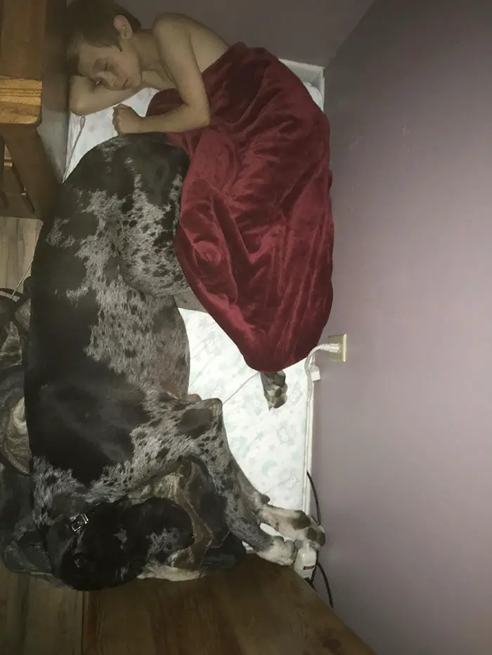 a kid sleeping beside his Great Dane dog in opposite direction with its face close to the dog's butt
