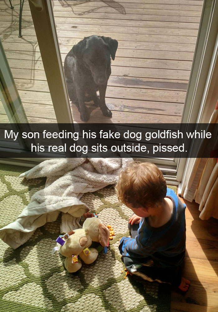 black Labrador sitting behind the glass door while staring at the kid feeding some food to his dog stuffed toy photo with a caption-