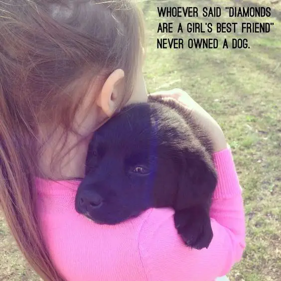a young girl hugging a Labrador puppy photo with a text 