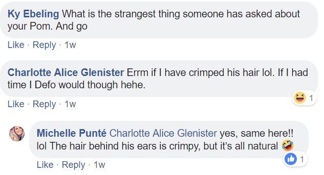 Commenters saying - Erm If I have crimped his hair lol. If I had time I defo would hehe.