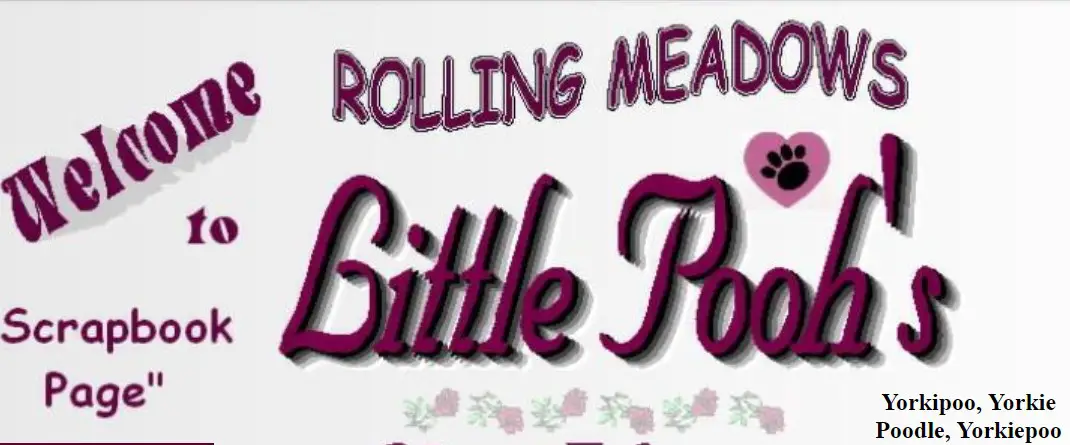 Rolling Meadows website logo