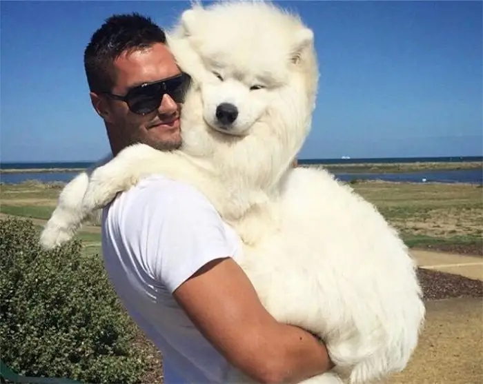 man carrying a Samoyed dog in his arms