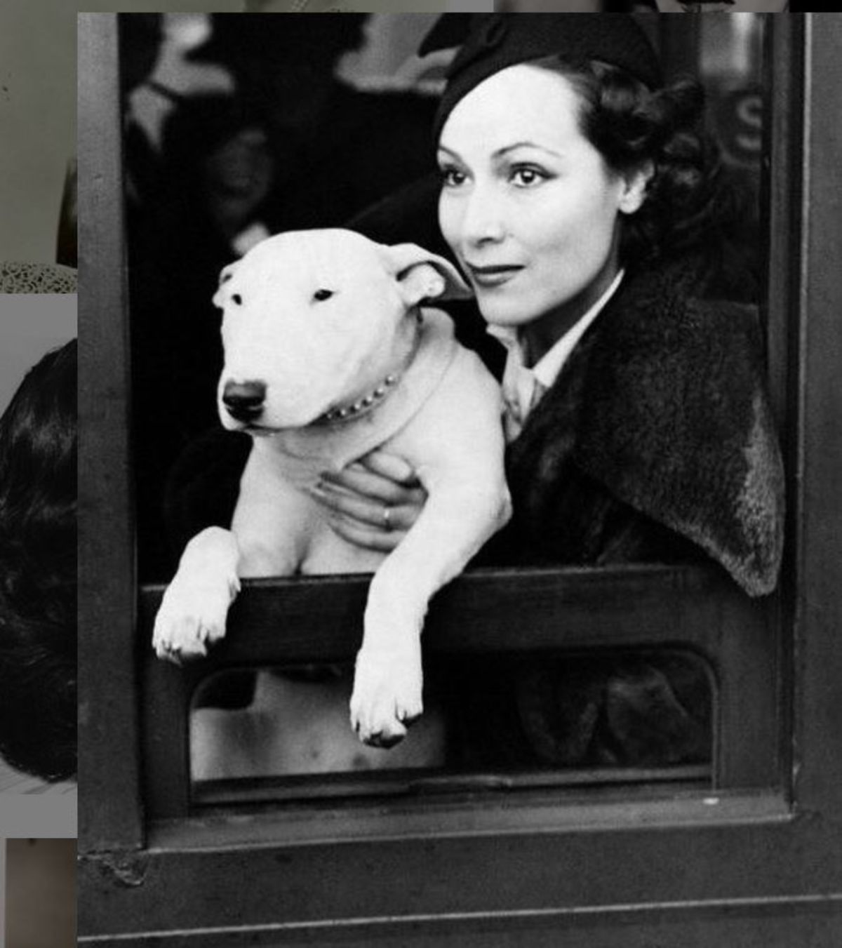black and white phot of Dolores del Río with her English Bull Terrier