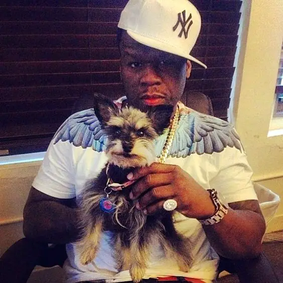 50 Cent sitting on the chair holding his Miniature Schnauzer
