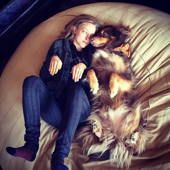 Amanda Seyfried lying on the bed copying the position of her Australian Shepherd mix dog
