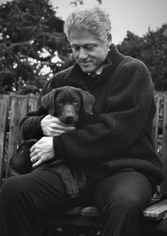 Bill Clinton with his Labrador pippy beside him