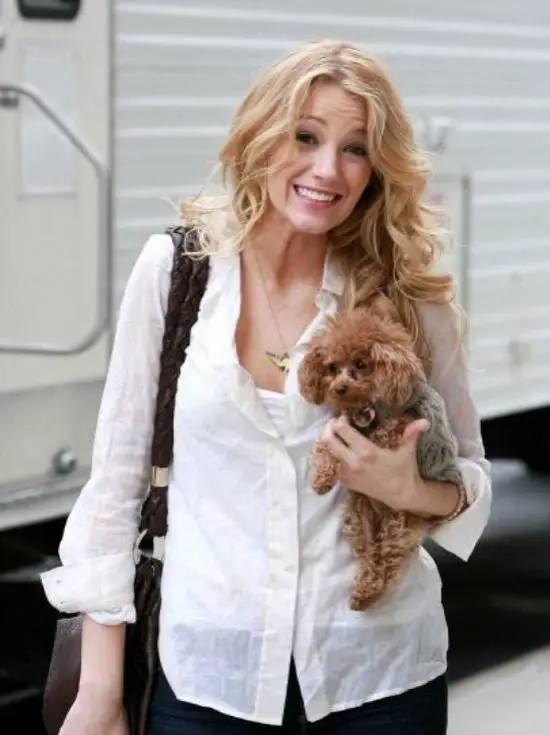 Blake Lively holding her Maltese-Toy Poodle