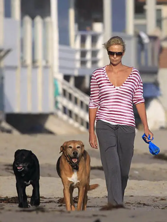 Charlize Theron walking at the beach with her two dogs