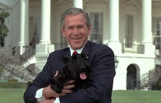 90 Presidential Dog Names - The Paws