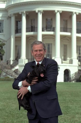 90 Presidential Dog Names - The Paws