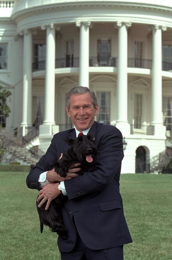 90 Presidential Dog Names | The Paws