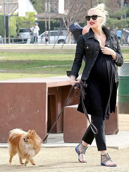 Gwen Stefani walking in the street with her Pomeranian