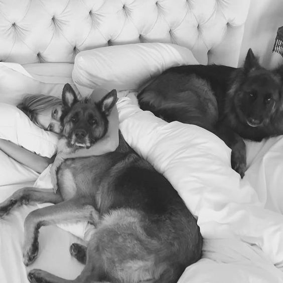 Heidi Klum on the bed with her two German Shepherds