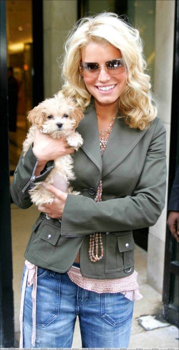 Jessica Simpson holding her Maltese-Toy Poodle