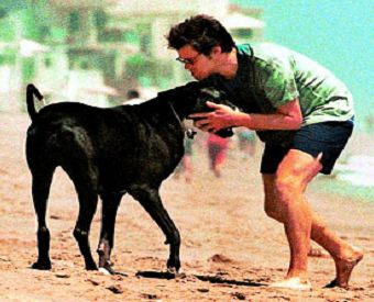 Jim Carrey playing with his Great Dane at the beach