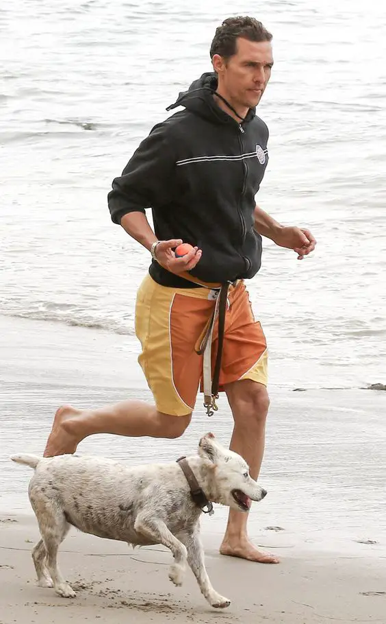 Matthew McConaughey running by the seashore with his Australian Cattle Dog