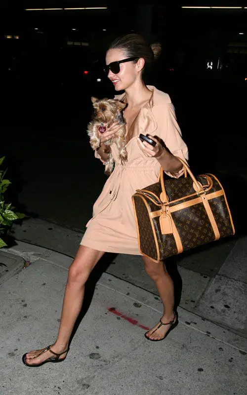 Miranda Kerr walking while holder her Yorkshire Terrier