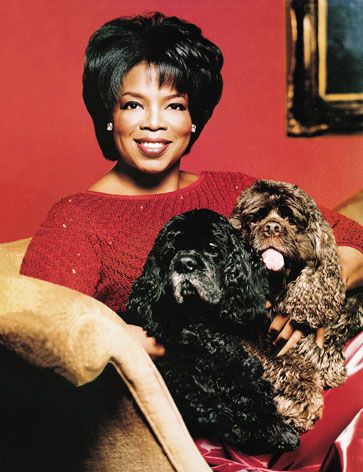 Oprah sitting on the couch with her English Springer Spaniel and Cocker Spaniel sitting on top of her lap