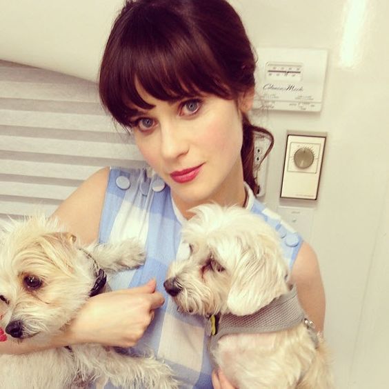 Zoey Deschanel holding her two dogs