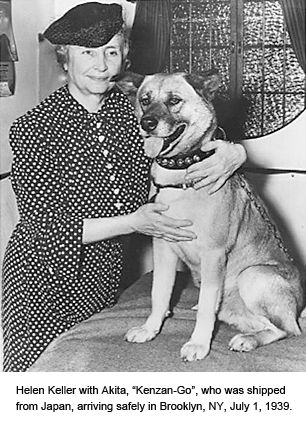 black and white photo of Helen Keller beside its Akita Inus dog