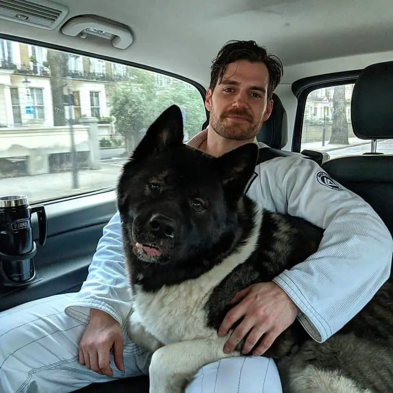 Henry Cavill sitting inside the car with its Akita Inus dog