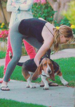 Jennifer Lawrence putting her Basset Hound down on the pavement pathway in the yard