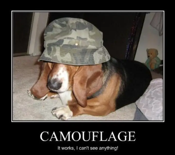 Basset Hound wearing a camouflage hat while lying on the floor photo with caption -CAMOUFLAGE. it works. I can't see anything!