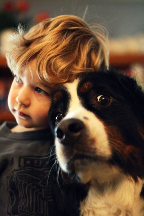 Bernese Mountain dog selfie with a kid