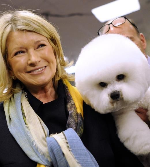 Martha Stewart smiling carrying her Bichon Frise